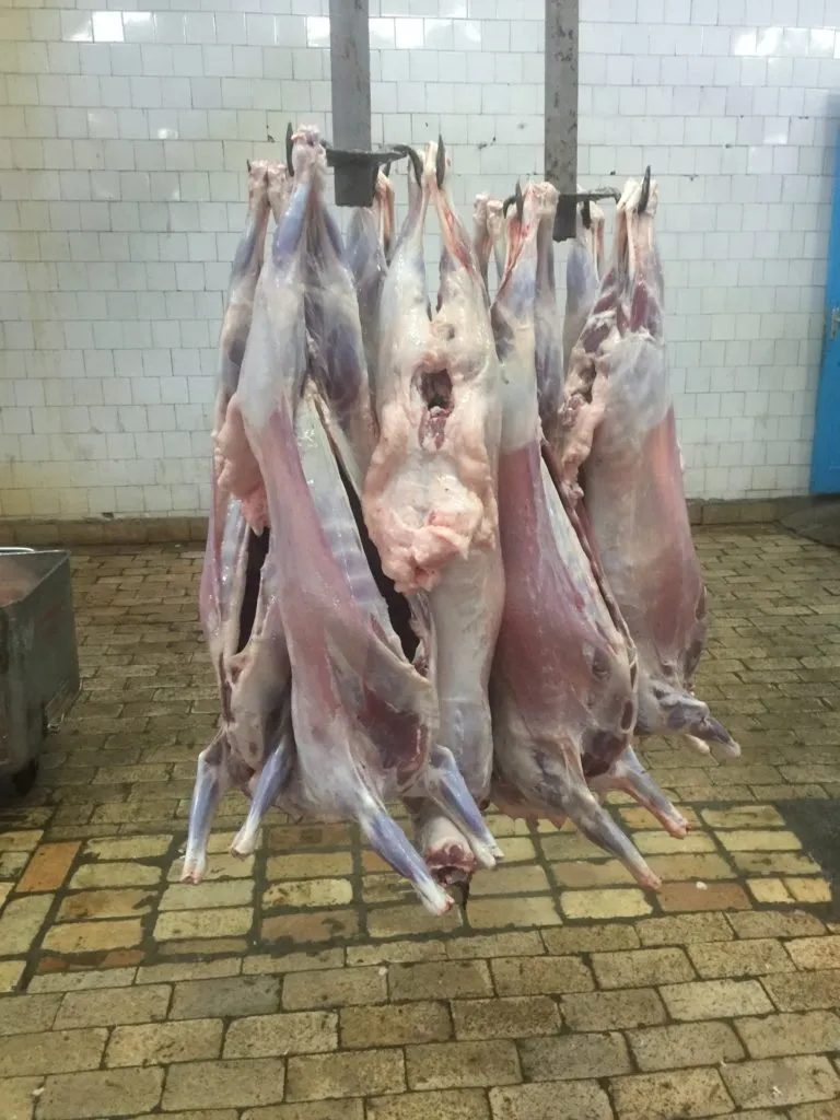 приобретем мясо ягненка на экспорт в Новосибирске 2