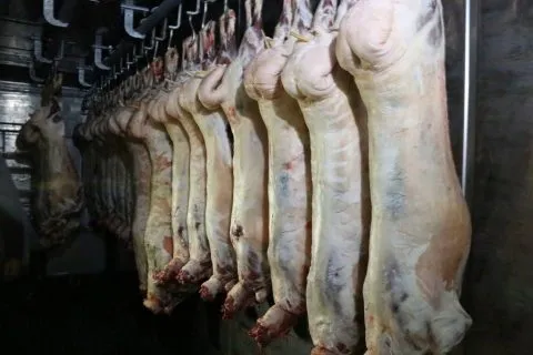 мясо баранина  в Новосибирске