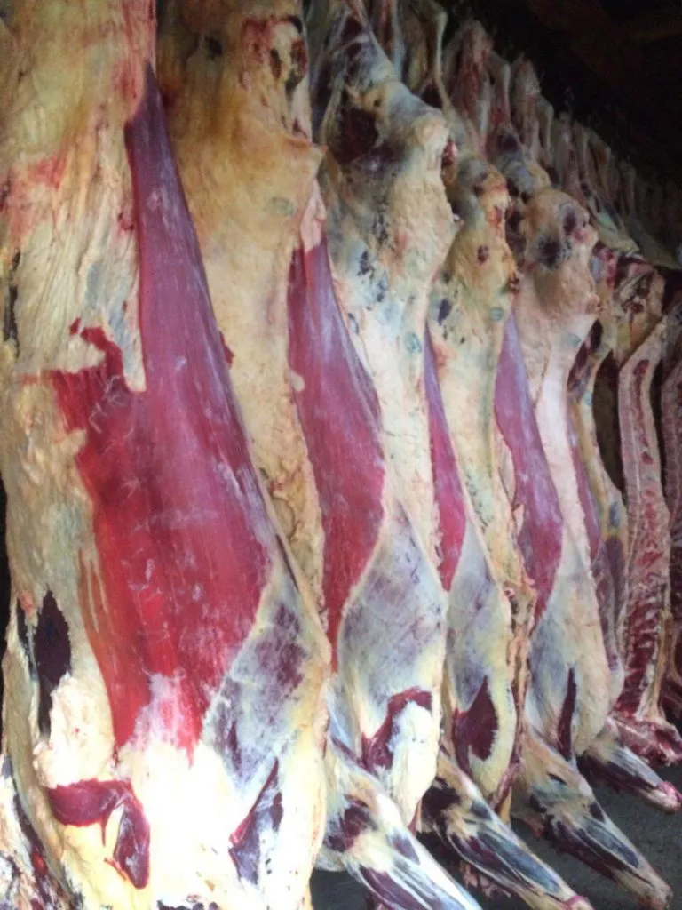 говядина и свинина РФ в Новосибирске
