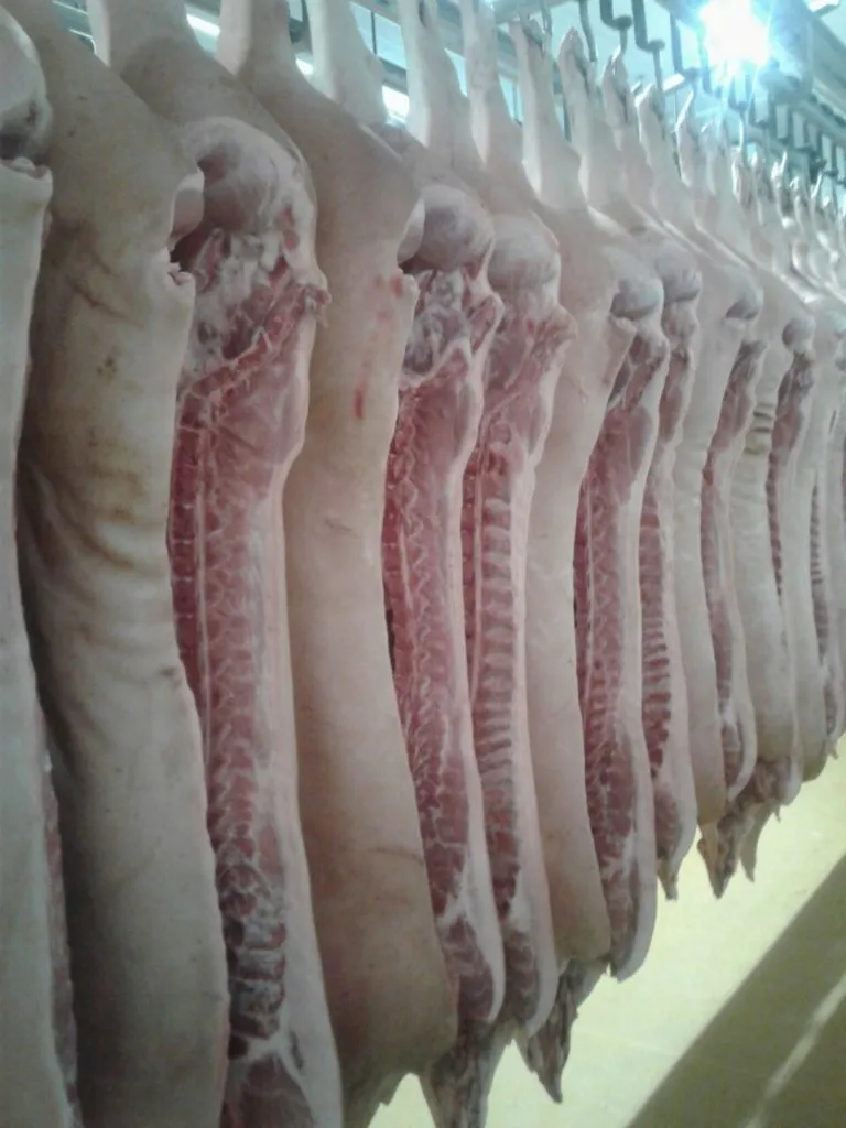 мясо свинины в полутушах охлажденное  в Новосибирске