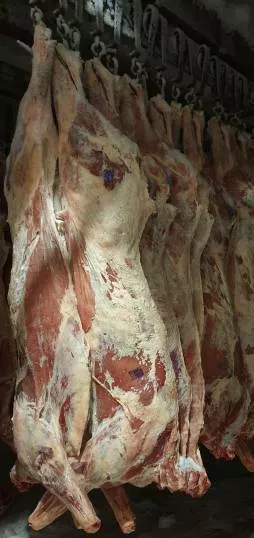 мясо говядина замороженное, охлаждённое. в Новосибирске и Новосибирской области 3