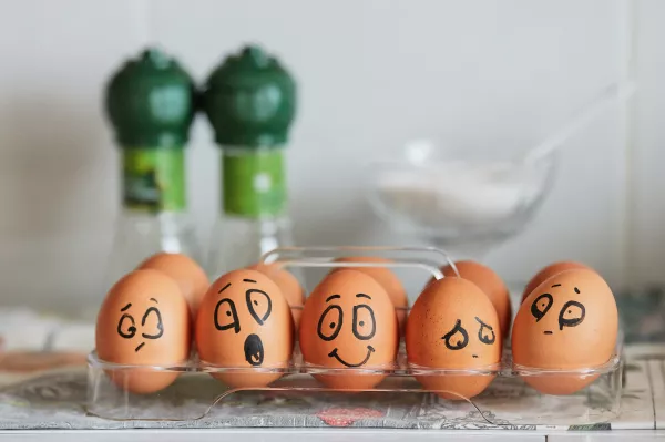 Новосибирский минсельхоз договорился с птицефабриками о стабилизации цен на яйца