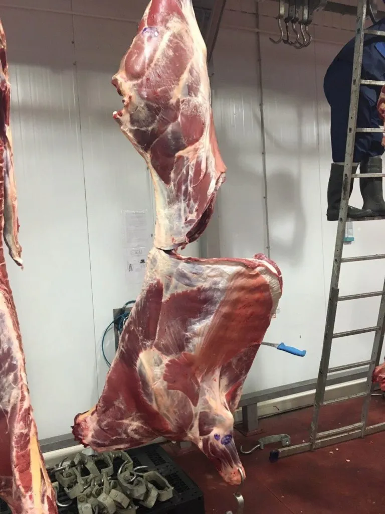 Фотография продукта Мясо говядины от производителя оптом РБ