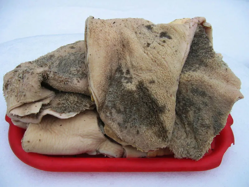 фотография продукта Обрезь мясная  для собак ( корм )