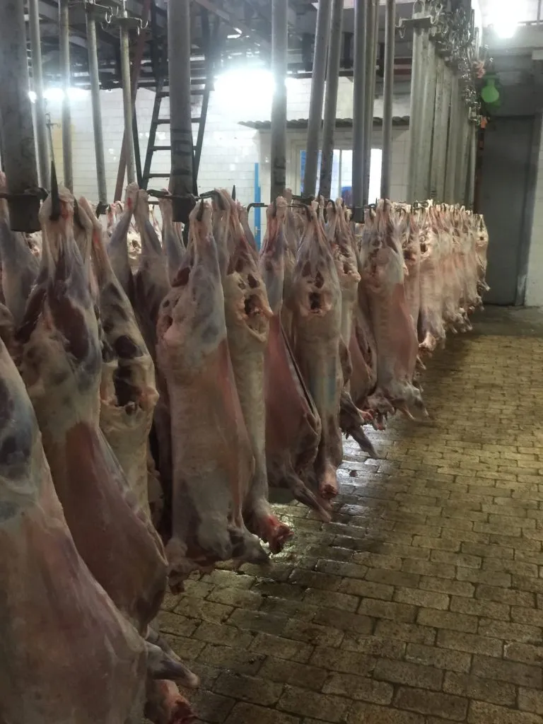приобретем мясо ягненка на экспорт в Новосибирске