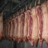мясо свинины оптом (полутуши) в Новосибирске 2