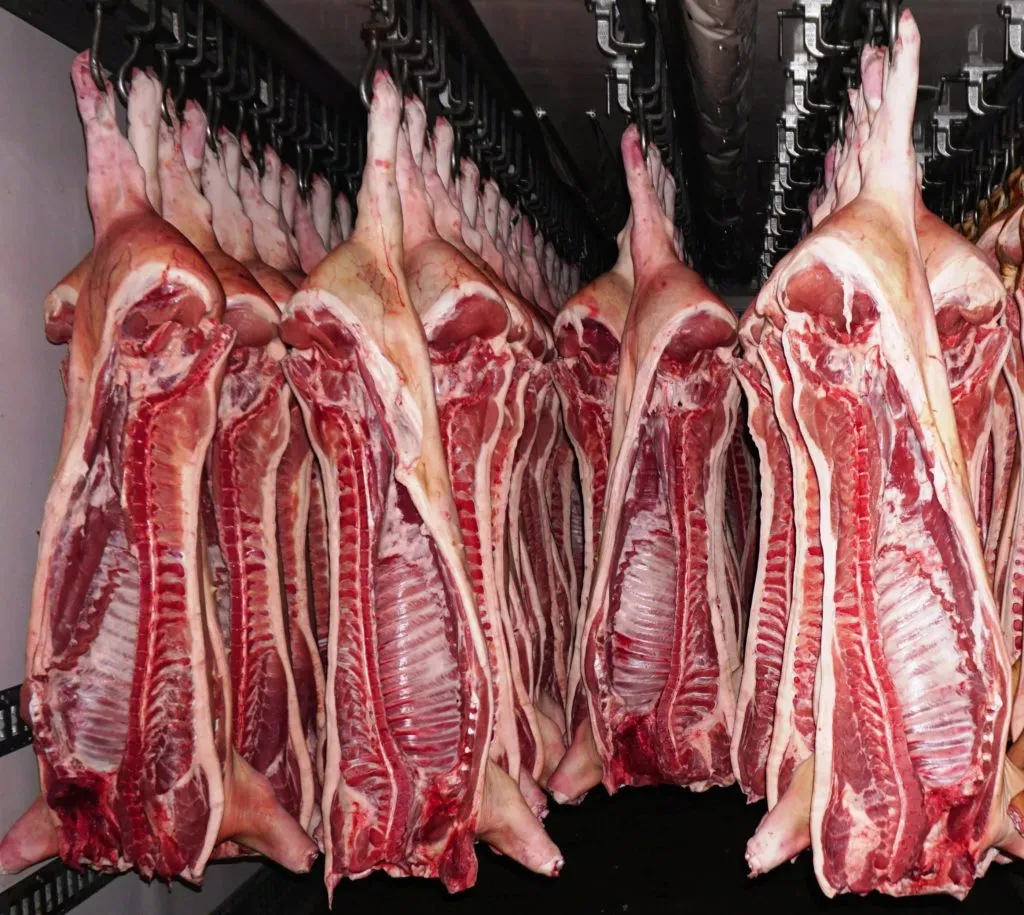 мясо свинины оптом (полутуши) в Новосибирске