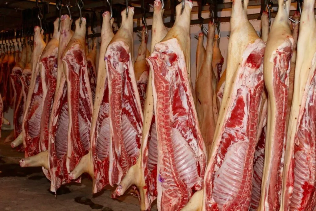 мясо свинины оптом (полутуши) в Новосибирске 3