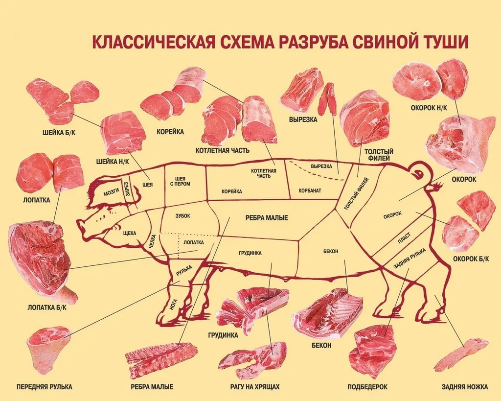 мясо Свинины в ассортименте заморозка в Новосибирске 2