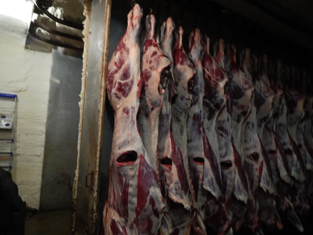 Фотография продукта говядина в Тюмени, Оренбурге,Челябинске