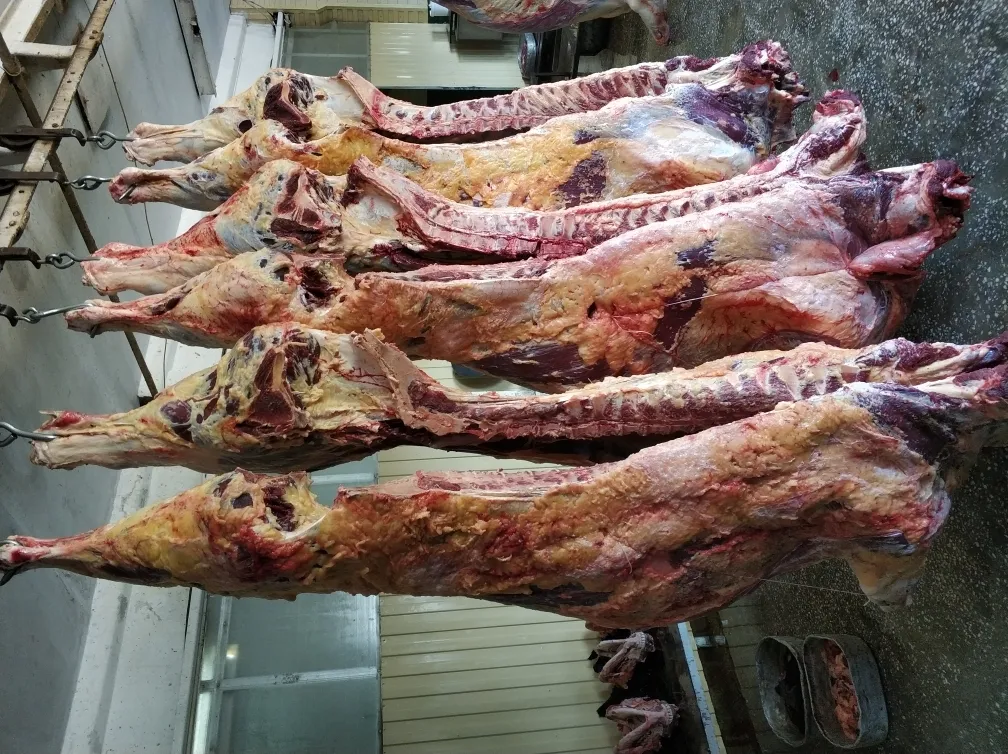 мясо коров в полутушах/четвертях охл/зам в Новосибирске