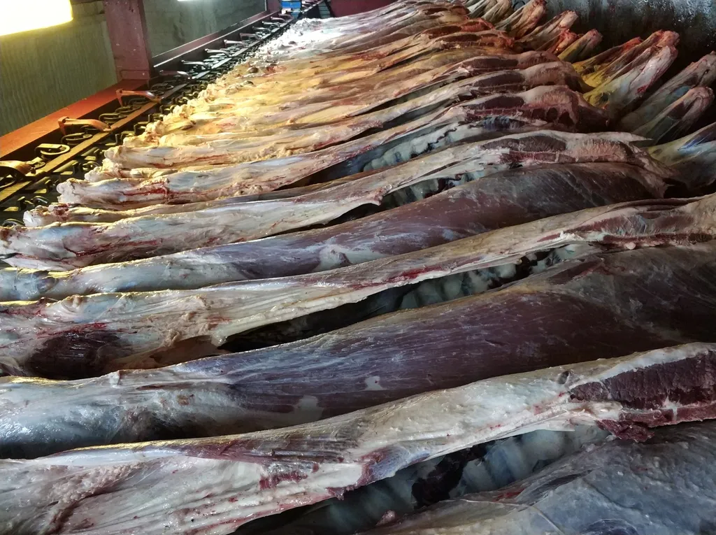 мясо быков в полутушах/четвертях охл/зам в Новосибирске 5
