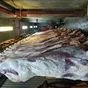мясо быков в полутушах/четвертях охл/зам в Новосибирске 2