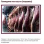 фермерское мясо. ОПТ в Новосибирске в Новосибирске 3