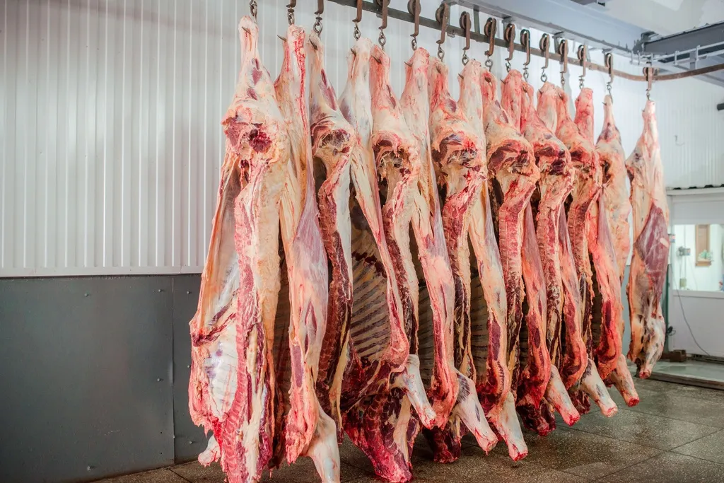 фотография продукта Мясо говядины н/к Новосибирск и область
