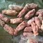ноги свин в Новосибирске