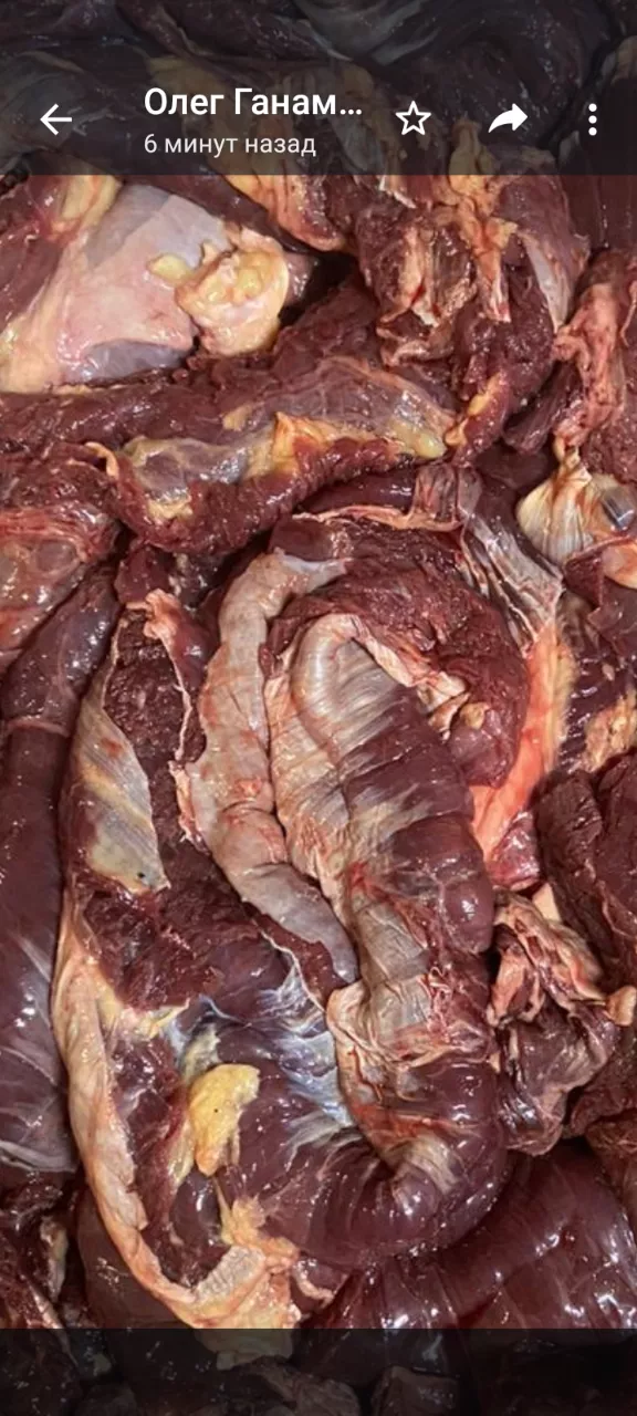 котлетное мясо в Новосибирске и Новосибирской области
