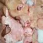 шкура свиных голов зам, маска в Новосибирске