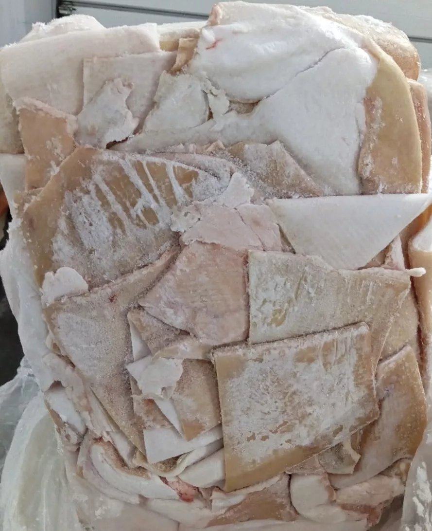 Фотография продукта Шпик на шкуре, боковой, Хребтовой, шкура